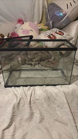 10 gallon Glass Tank with Mesh Lid