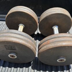 60LB Prostyle Dumbbells 