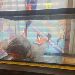 Reptile Tank, + Heat Lamp Set