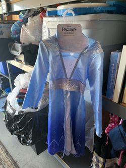 Elsa Costume 