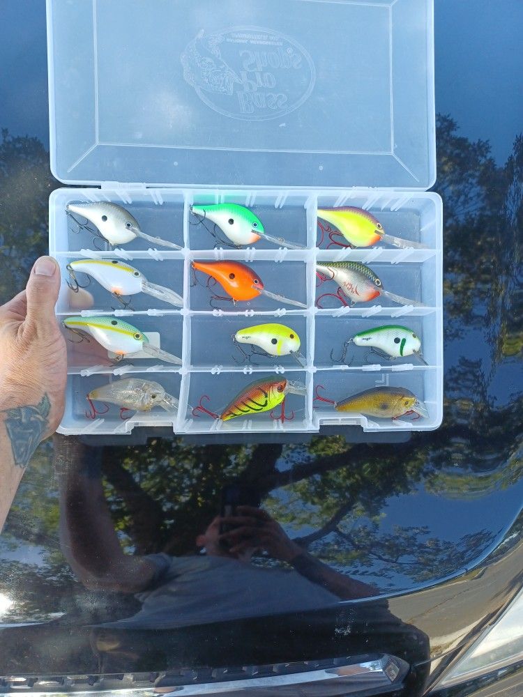 Deep Diving Crankbaits By Rapala Dt20s Deep Diving Crankbait By Strike King Square Bill Crankbaits By Bomber And Laser Lure