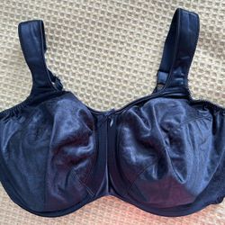 BALI Navy Bra