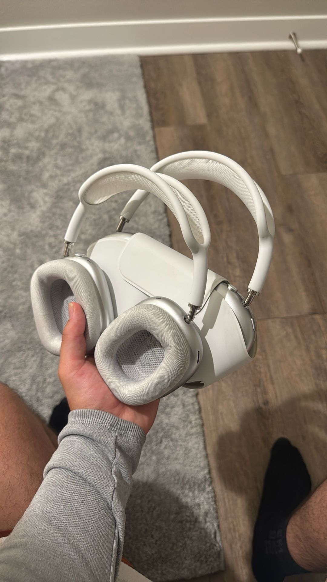 Air Pod Pro Maxes