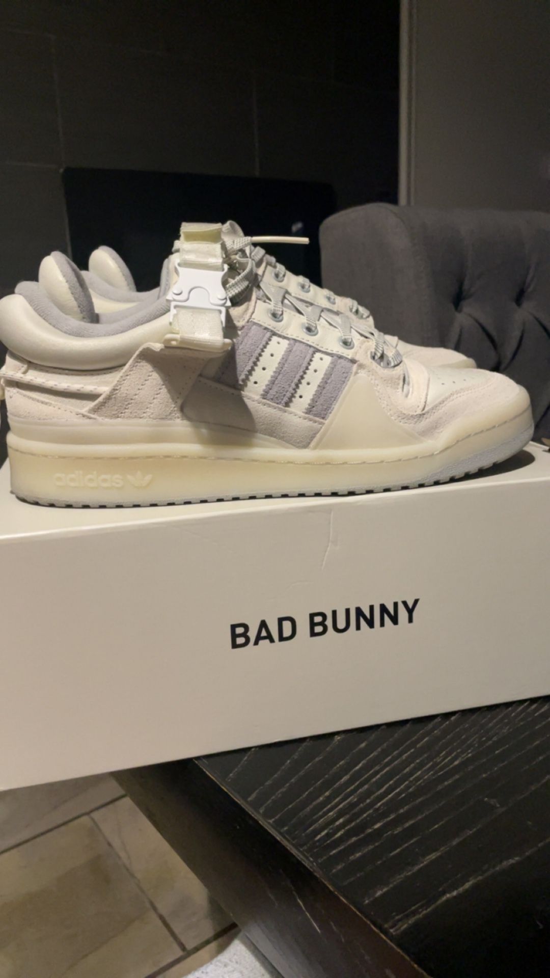 Adidas Bad Bunny Forum