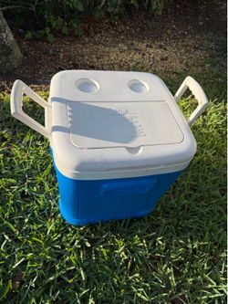 Igloo Ice Cube Cooler