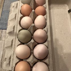 farm eggs