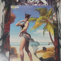 Catwoman #68 (Comic Book) 🏜🐢🏜