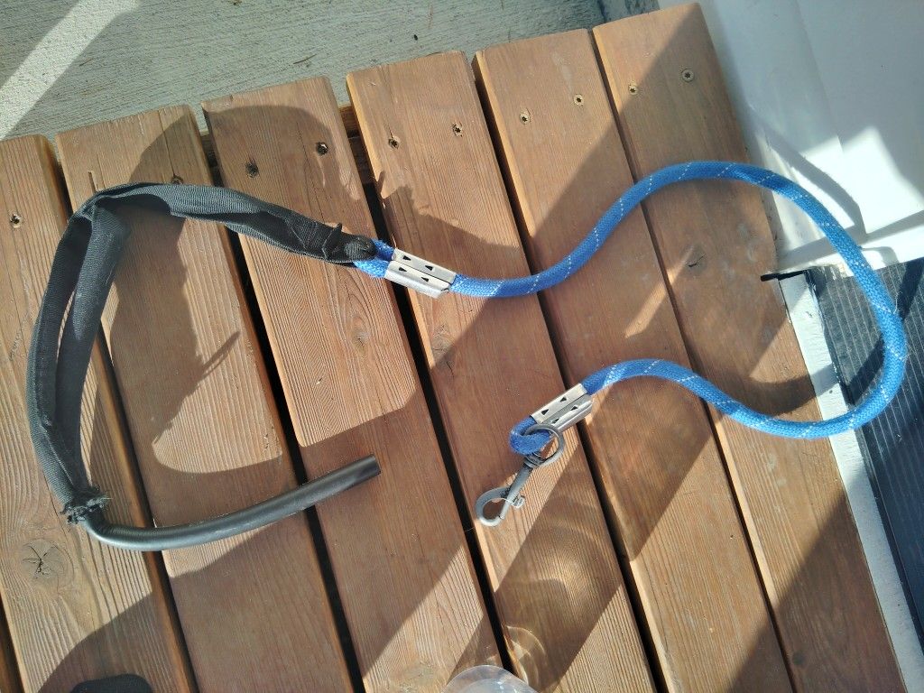 Free Dog Leash Handle Needs Mended 