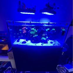 125 Gallon Tideline Industry’s Drilled Aquarium