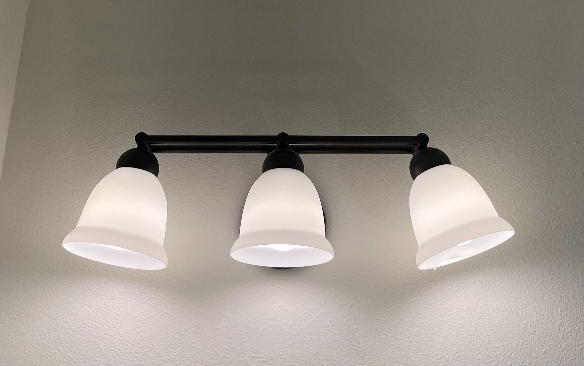 Bathroom Light Fixture