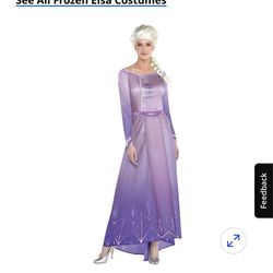 Elsa dress Costume 
