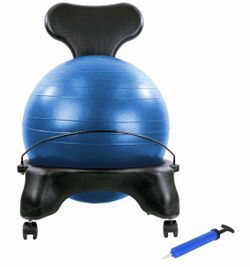 Balance Ball chair. Great for your back.