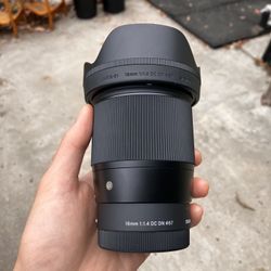 Sigma 16mm F/1.4 DC DN Contemporary Lens (for Sony E / APS-C) 