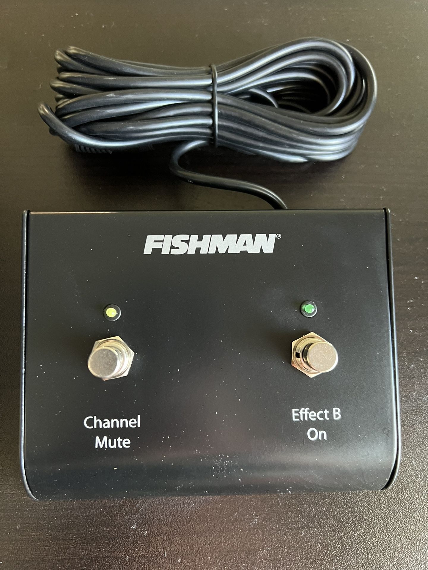 Fishman Loudbox Amplifier Dual Foot Switch