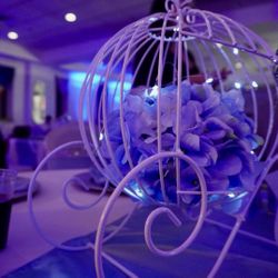Cinderella Carriage Centerpieces