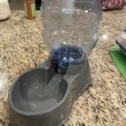 Dog Water Dispenser For Small Breeds 