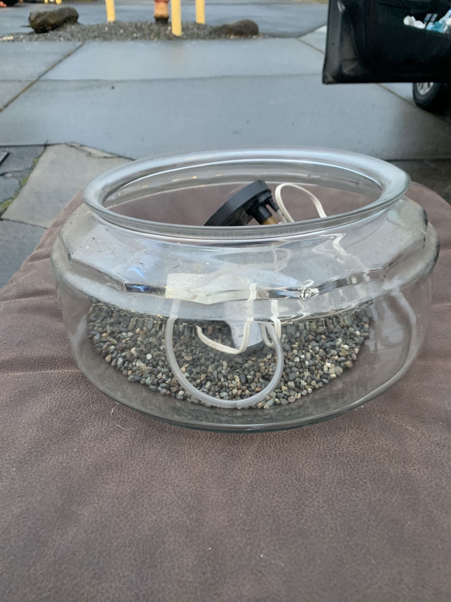 ~ 5 Gallon Fish Tank - Bowl Shaped