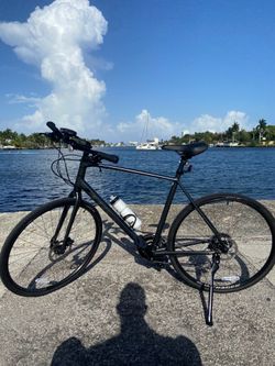Trek fx 2