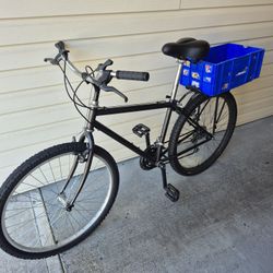 Grocery Getter Bicycle 