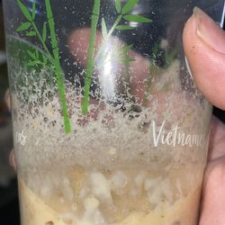 Micro Worm / vinegar eels 🪱 Culture Fish Food