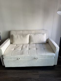 Wayfair Pull Out Couc