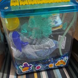 Penn-Plax Rite-Bite Educational Betta Tank