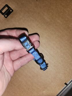 Small Dog Collar
