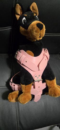 Dog Harness