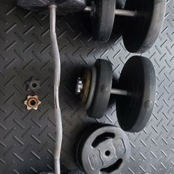 Curl Bar + Dubbells + 178lbs 