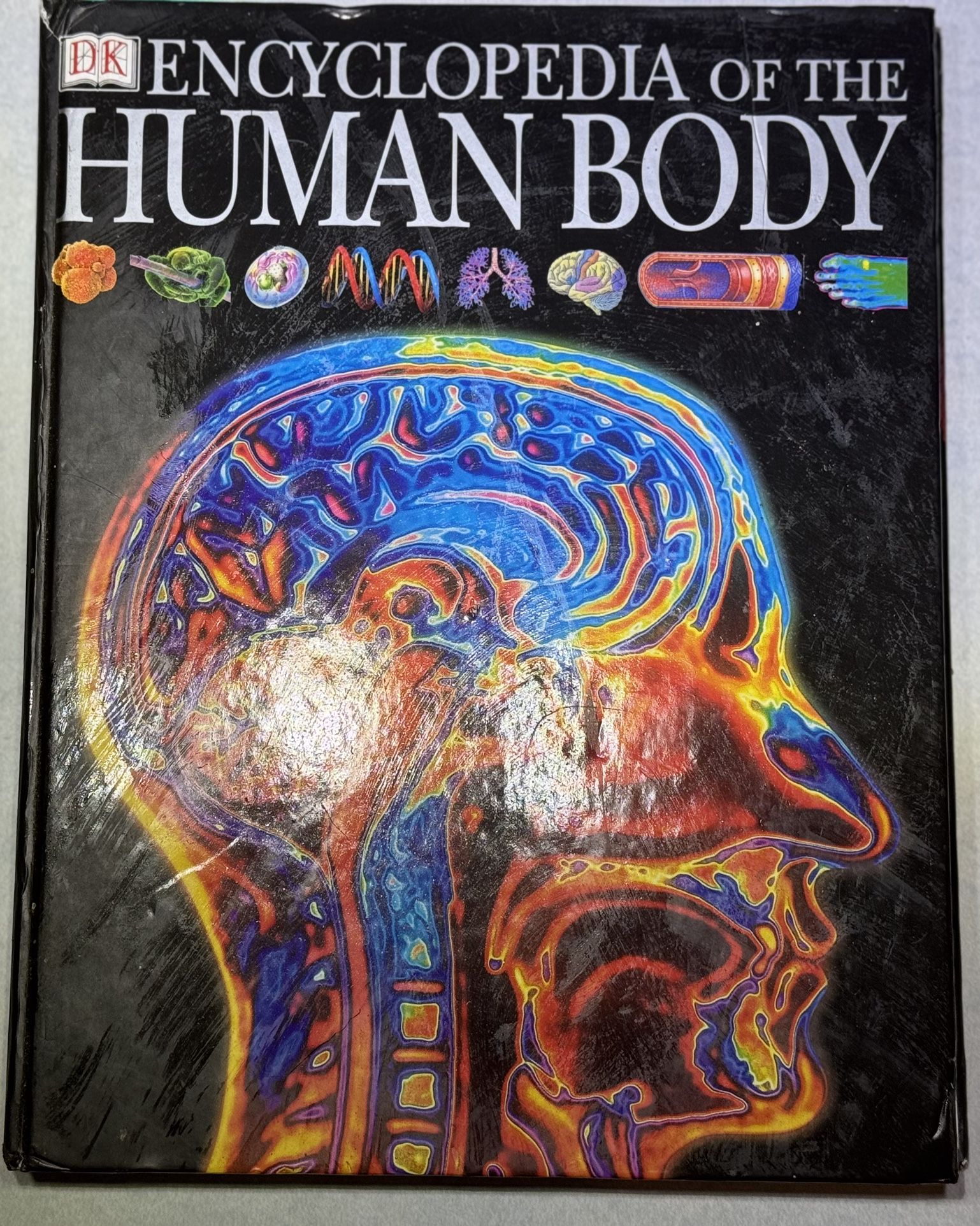 DK Encyclopedia Of The Human Body