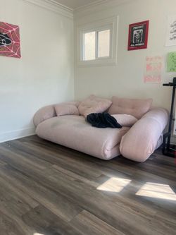 Comfy couch.  Pulls out into bed. Free