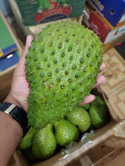 GUANABANA / SOURSOAP $10 LB.