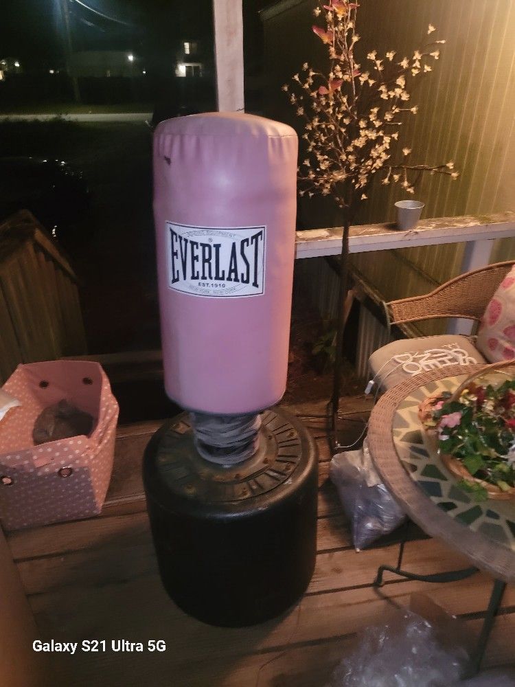 Stand up punching bag.