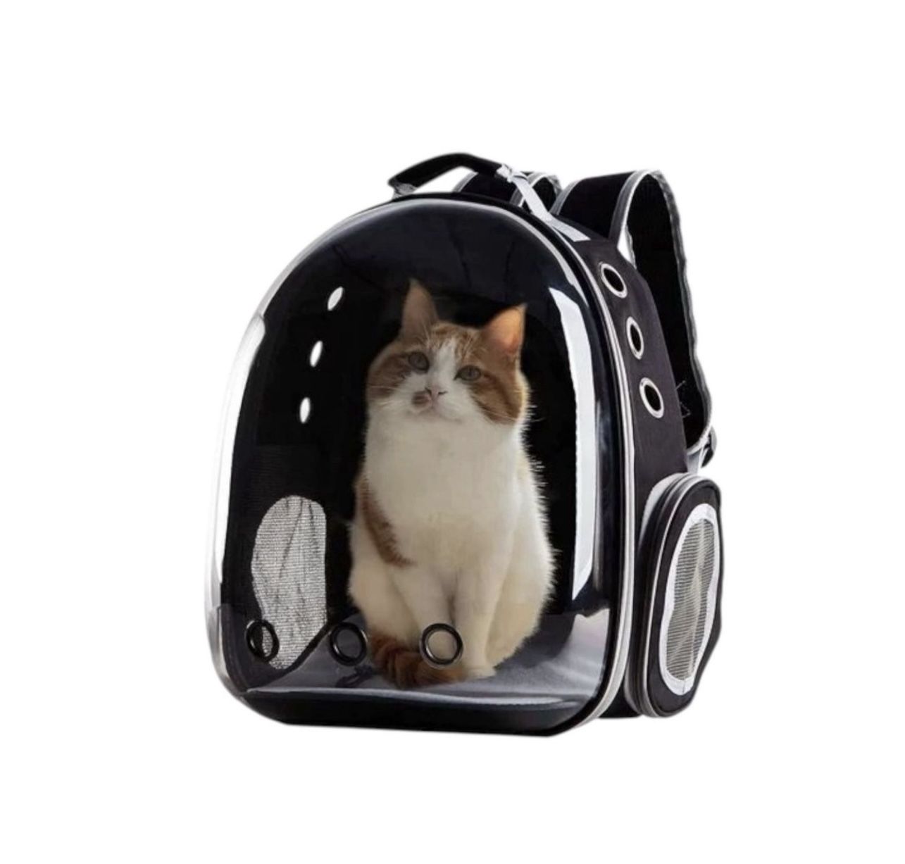 Black -PetPack Adorable Bubble Carrying Bag for Small, Medium dogs Cats, Space Capsule Pet Park, Hiking backpack, Airline Approved Travel Carrier