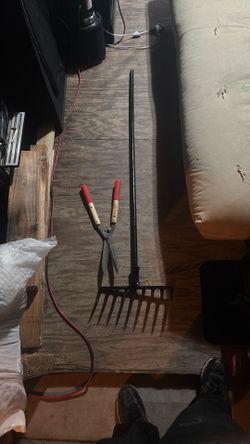 20$ For A Pair Of Hedge Cutter And Rake