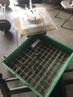 Incubator
