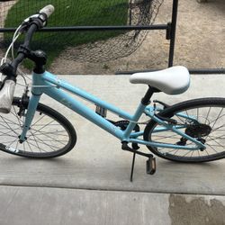 20” Girls Giant Bike.