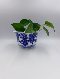 Vintage chinoiserie blue and white porcelain flowerpot planter featuring eggplant and fruit motif
