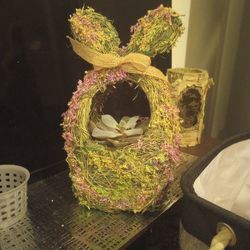 Succulent Plant For Easter 