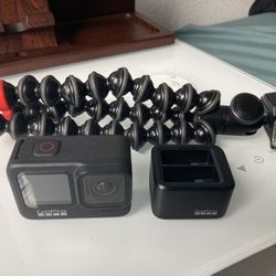 GoPro9  with Tripod / Dual Charger 