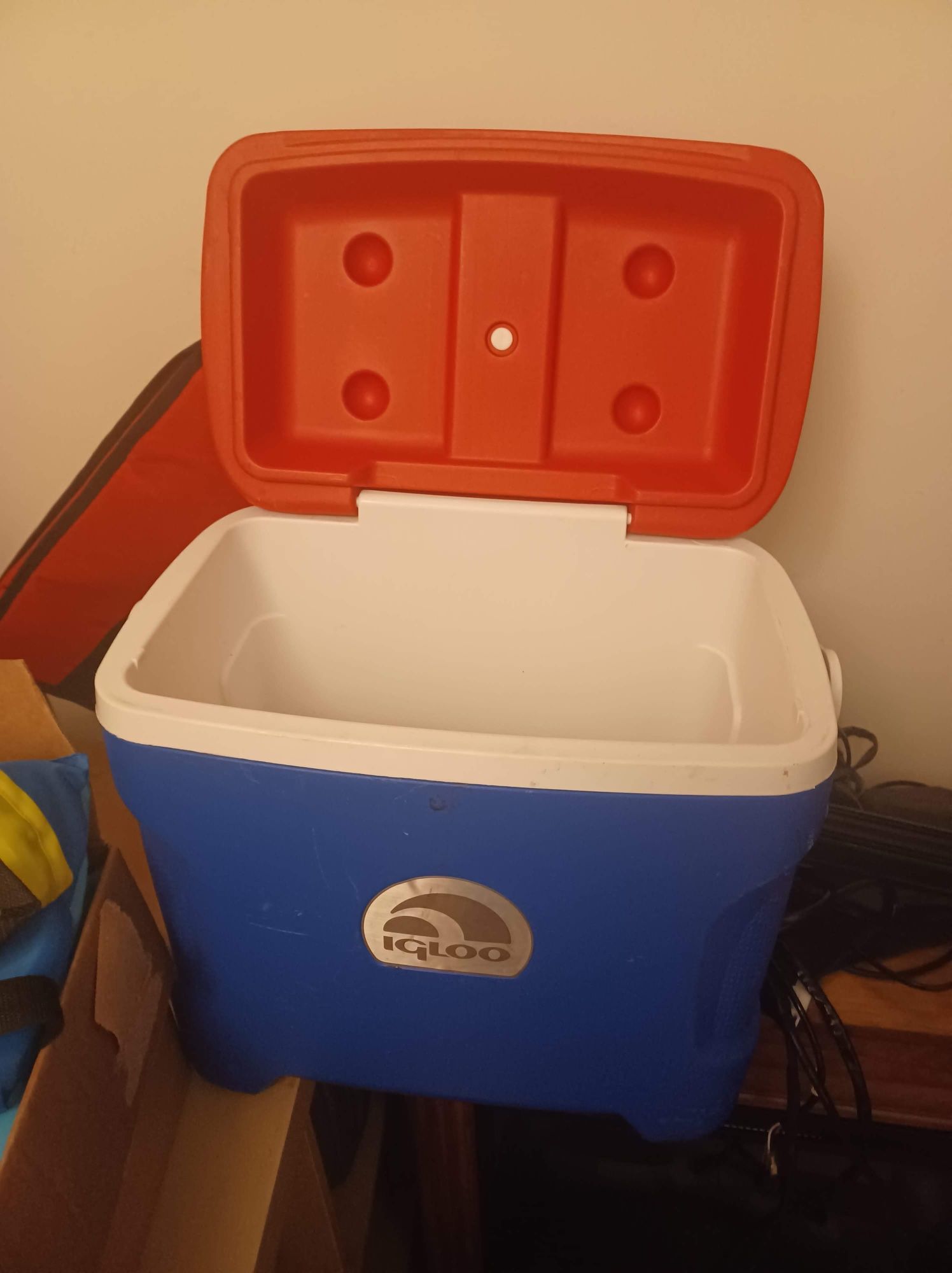 Igloo Cooler 