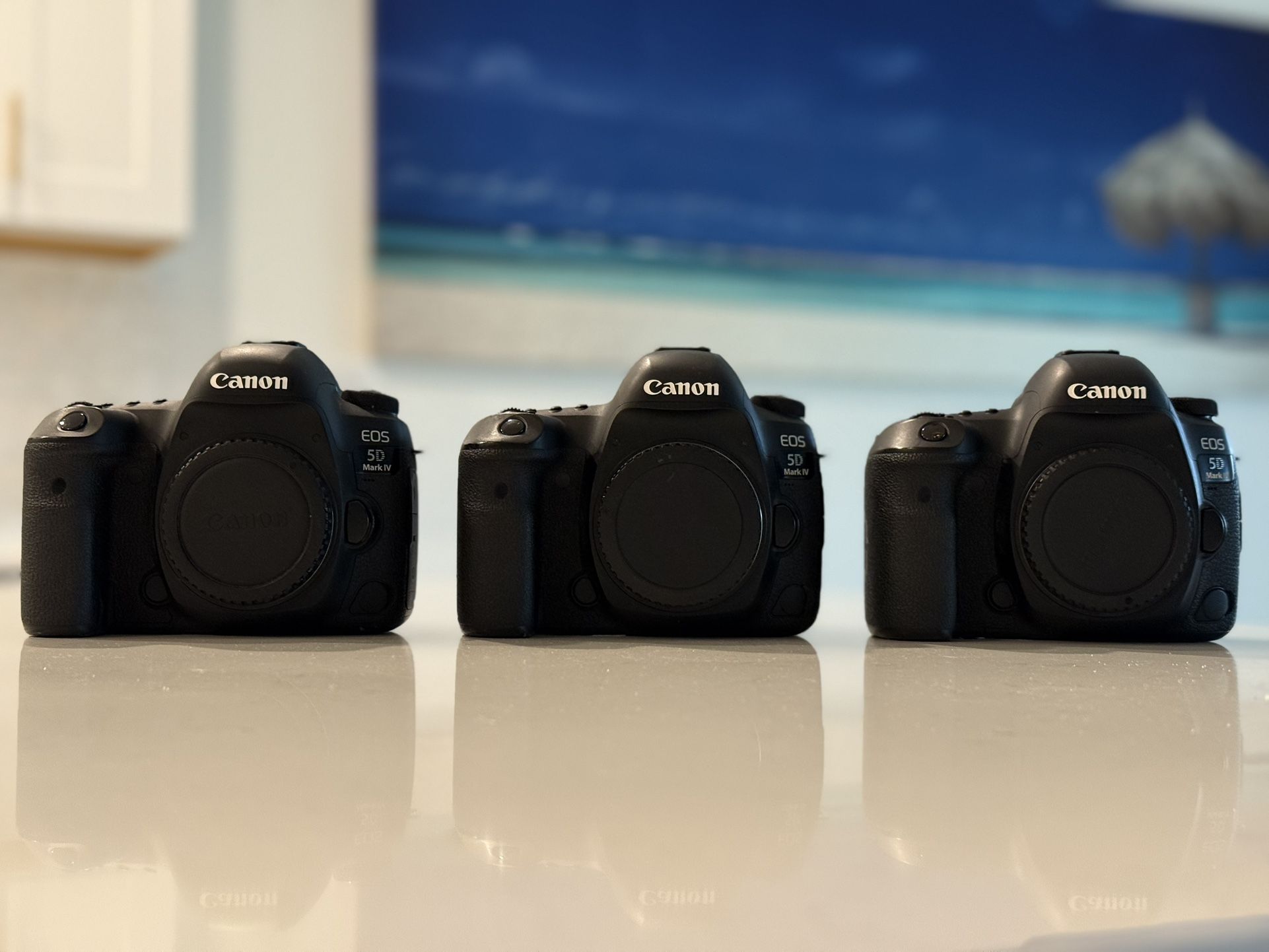 Canon EOS 5D Mark IV (5D4) – Used – Good Working Condition