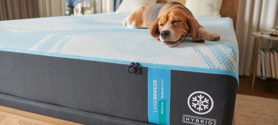 Tempurpedic LuxeBreeze Medium-Hybrid - Split King