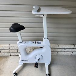 Flexispot V9 Max Home Office All-in-One Desk Bike/Bike Workstation 