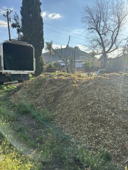 free woodchips delivered