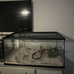 Reptile/fish Tank 