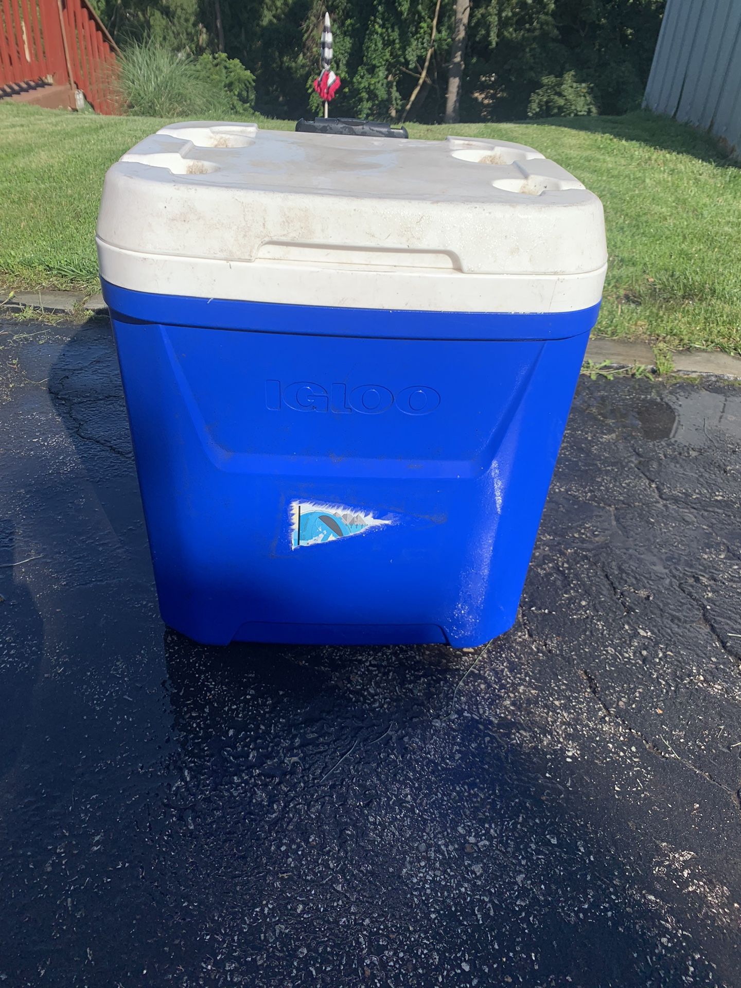 Igloo Cooler