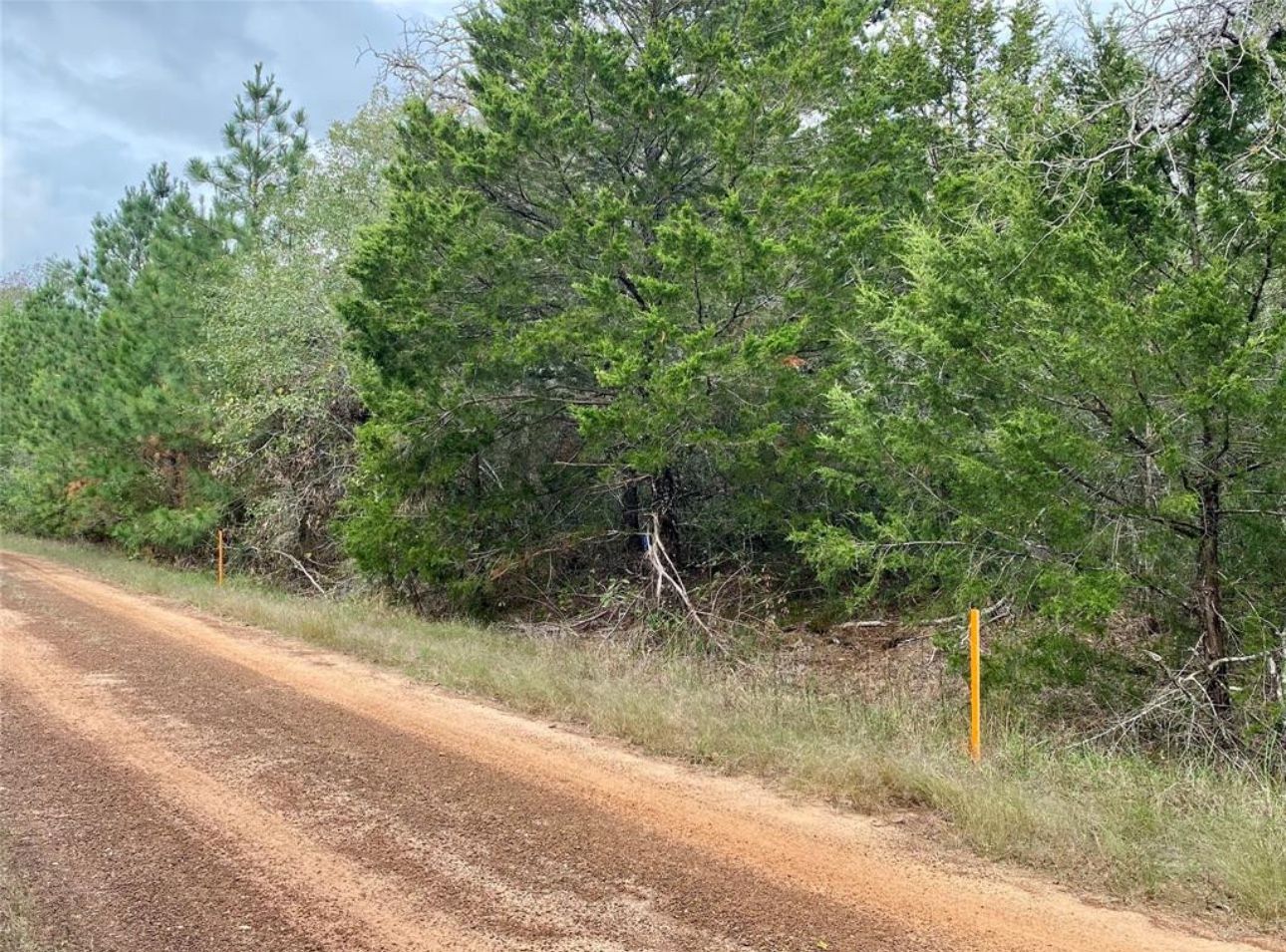 Lot #12 Deerwood Lakes Hempstead  Texas 77445. $20000