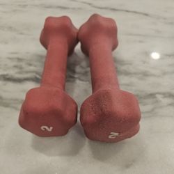 2lb Weights Pair
