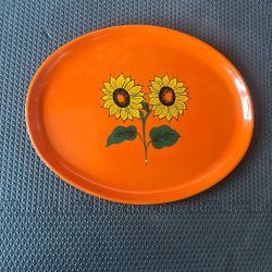 Plastic Platter Dish